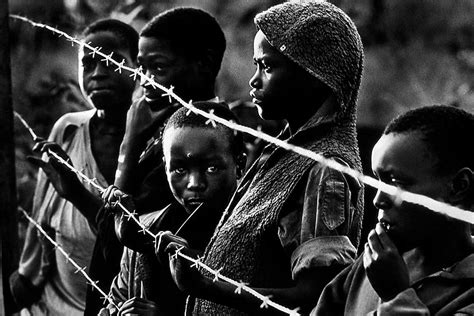 the rwanda crisis history of a genocide